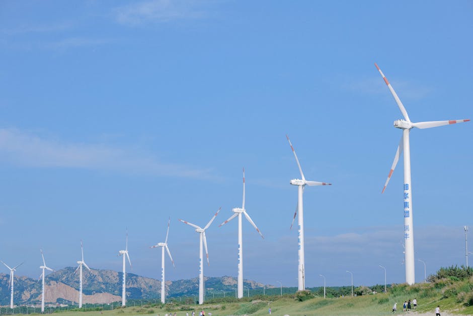 green hydrogen electrolyzer wind farm renewable energy facility