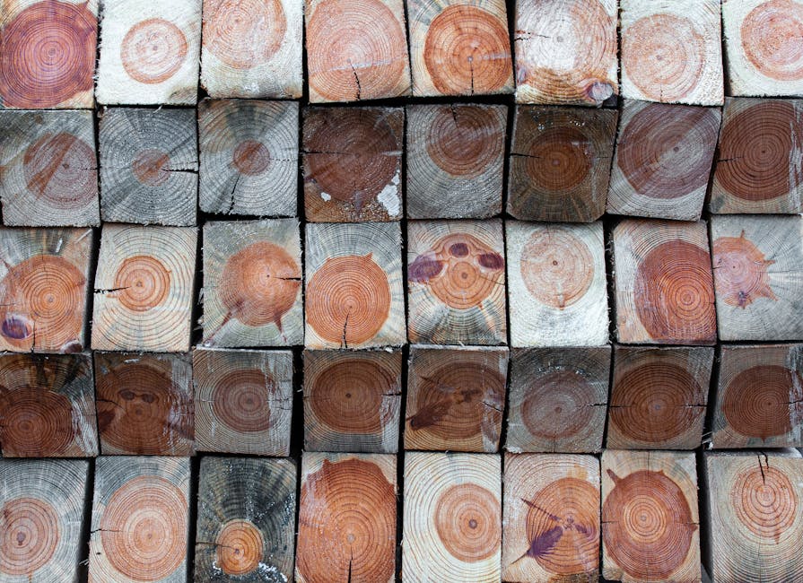 SOFC fuel cell stack cross-section diagram, ceramic electrode layers