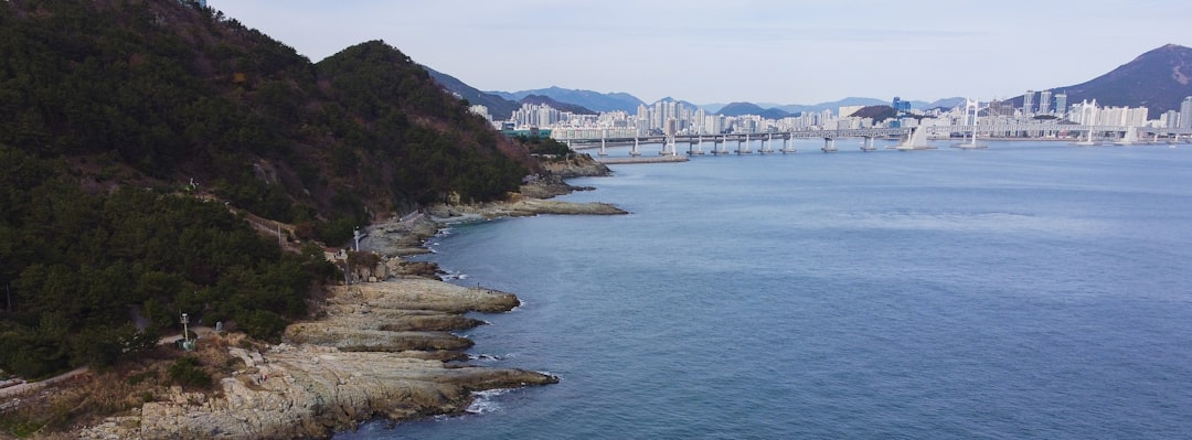 hydrogen energy infrastructure South Korea 2026 policy