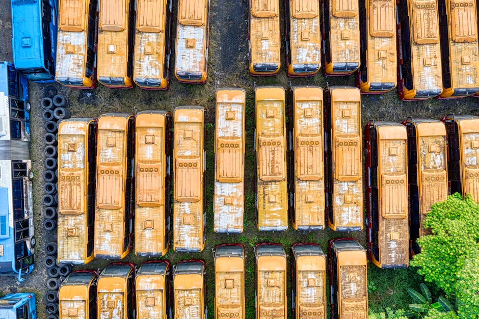 hydrogen fuel cell bus fleet urban city zero emission transport