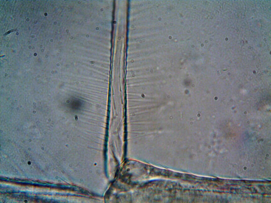 perovskite crystal structure ABO3, SOFC fuel cell diagram
